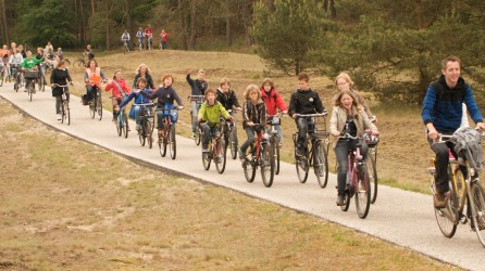 Het Nationale Park De Hoge Veluwe