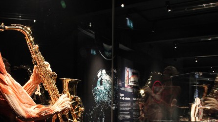 BODY WORLDS Amsterdam