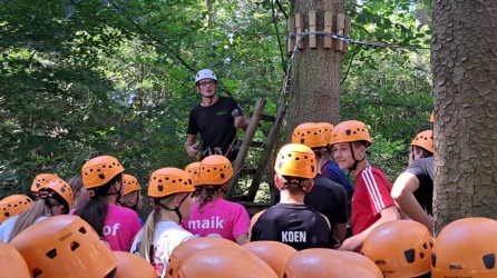 Brandsport header