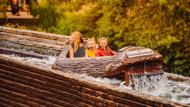 Bobbejaanland Boomstam