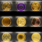 Slide 3 - Micropia