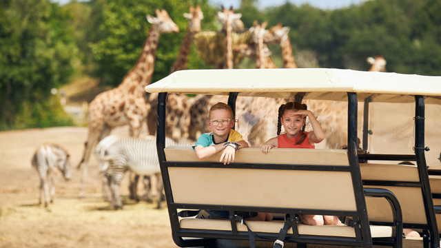 Safari Beeksebergen rondrit