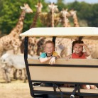 Slide 2 - Safaripark Beekse Bergen