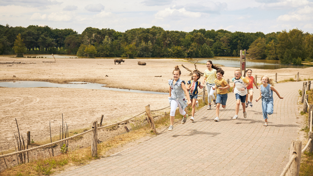 Safari Beeksebergen rondrennen