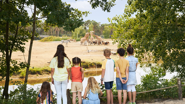 Safari Beeksebergen safari