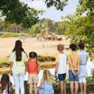 Slide 1 - Safaripark Beekse Bergen