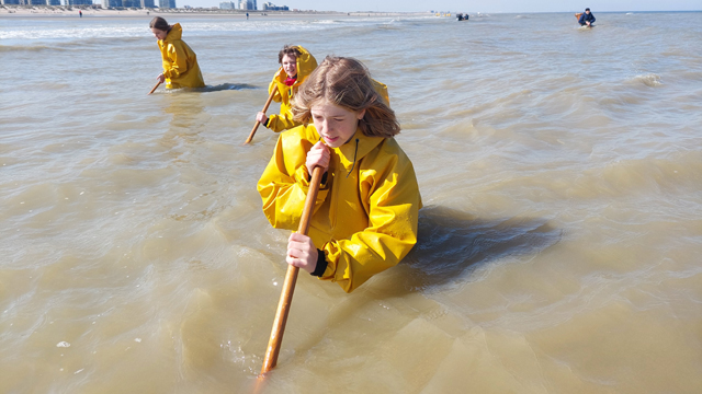 Duinpanne Garnalen vissen v2