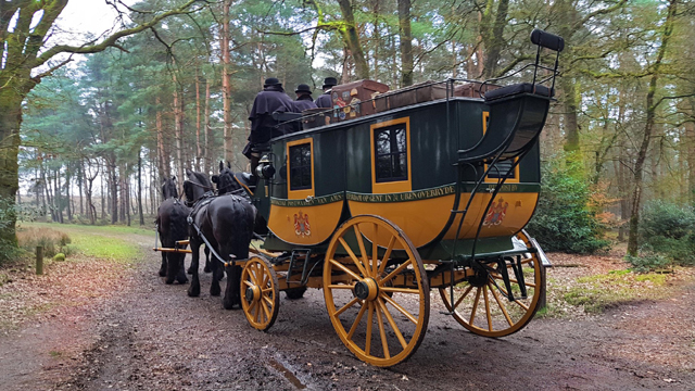 Nature Game Drenthe Koets
