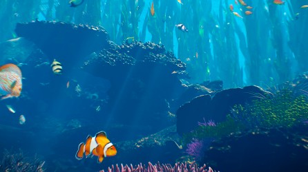 Sea Life Scheveningen header