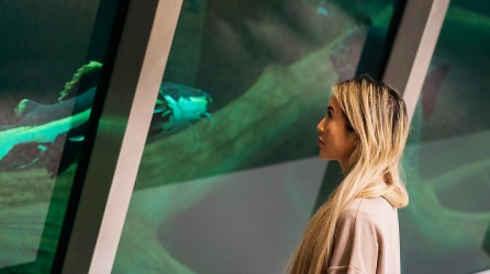 2026 schoolreis dierentuin artis aquarium